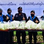 ทหารพราน 47 เก็บเกี่ยวผลผลิต “ผักไฮโดรโปนิกส์” ปลอดสารพิษ เพื่อนำไปแจกจ่ายให้กับประชาชนที่สัญจรไป-มาบริเวณหน้าฐานปฏิบัติการ