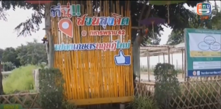 สันติสุขที่ปลายด้ามขวาน ตอน สวนลุงคิด แปลงเกษตรทฤษฎีใหม่ สู้โควิด -19