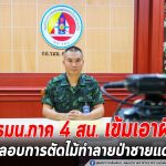 กองอำนวยการรักษาความมั่นคงภายในภาค 4 ส่วนหน้า เข้มเอาผิดผู้ลักลอบการตัดไม้ทำลายป่าชายแดนใต้