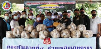 กองทัพภาคที่ 4 รับซื้อมันแกว ช่วยเหลือเกษตรกร หลังราคาตกล้นตลาด