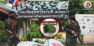 กองกำลังเทพสตรี ตรวจยึดยาเสพติดให้โทษประเภท 5 พืชกระท่อมสดบรรจุใส่กระสอบ จำนวน 11 กระสอบ น้ำหนักรวม 330 กิโลกรัม