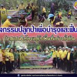 ชุมชนบ้านบาเฆะ อ.ทุ่งยางแดง จ.ปัตตานี ร่วมสานพลังบูรณาการจัดกิจกรรมปลูกป่า เพื่อบำรุงและฟื้นฟูป่าชุมชนให้คงอยู่กับพื้นที่อย่างยั่งยืน