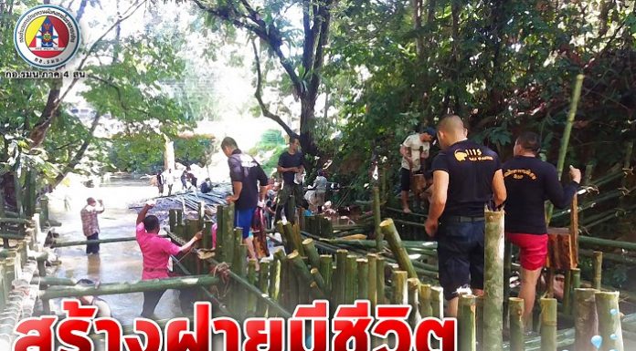 สร้างฝายมีชีวิต ฟื้นฟูรักษาระบบนิเวศน์ของชุมชน