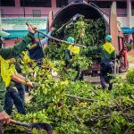 ทหารพราน 42 เข้าให้การช่วยเหลือเหตุต้นไม้ล้มทับกำแพงโรงเรียน หลังโดนพายุฝนถล่ม