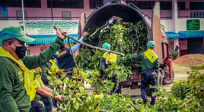 ทหารพราน 42 เข้าให้การช่วยเหลือเหตุต้นไม้ล้มทับกำแพงโรงเรียน หลังโดนพายุฝนถล่ม