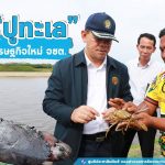 ศอ.บต. ผลักดัน “ปูทะเล” เป็นสัตว์เศรษฐกิจใหม่ จชต.