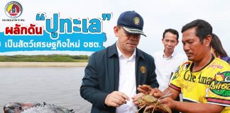 ศอ.บต. ผลักดัน “ปูทะเล” เป็นสัตว์เศรษฐกิจใหม่ จชต.