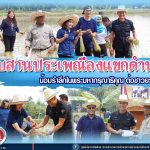 สืบสานประเพณีลงแขกดำนา “น้อมรำลึกพระมหากรุณาธิคุณ ต่อชาวยะลูตง”