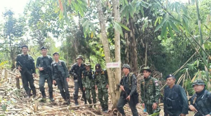 เจ้าหน้าที่คณะทำงานพิเศษ กอ.รมน.ภาค 4 สน. ร่วมกับ ตชด.44 และหน่วยป้องกันรักษาป่าที่ ยล.4 ออกตรวจป่าบนภูเขา พบการลักลอบตัดไม้ทำลายป่าแห่งใหม่