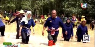 สันติสุขที่ปลายด้ามขวาน ตอน พลิกนาร้าง เป็นนารักษ์