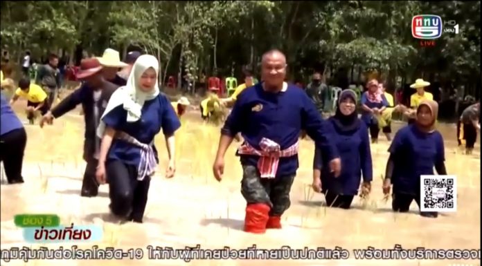 สันติสุขที่ปลายด้ามขวาน ตอน พลิกนาร้าง เป็นนารักษ์