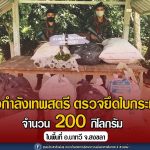 กองกำลังเทพสตรี ตรวจยึดใบกระท่อมสด จำนวน 200 กิโลกรัม ในพื้นที่ อ.นาทวี จ.สงขลา