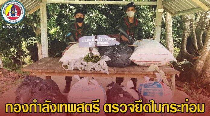 กองกำลังเทพสตรี ตรวจยึดใบกระท่อมสด จำนวน 200 กิโลกรัม ในพื้นที่ อ.นาทวี จ.สงขลา