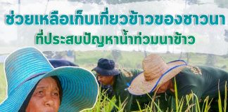 ทหารพราน เร่งให้ความช่วยเหลือเก็บเกี่ยวข้าวของชาวนา ที่ประสบปัญหาน้ำท่วมนาข้าว ทหารเป็นได้ทุกอย่างที่อยากให้เป็น.. “ช่วยชาวนาเกี่ยวข้าวหนีน้ำ”
