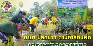 กิจกรรมโครงการพหุวัฒนธรรม “ดำนา ปลูกข้าว ตามคำสอนพ่อ เศรษฐกิจพอเพียง”