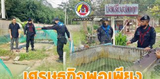 เศรษฐกิจพอเพียง ในโรงเรียน เพื่อน้อง ๆ