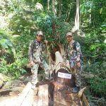 เปิดภาพวินาทีเจ้าหน้าที่บุกจับกุม ผู้ลักลอบตัดไม้ คาเครื่องเลื่อย ในพื้นที่ป่าต้นน้ำ แม่น้ำสายบุรี จ.นราธิวาส