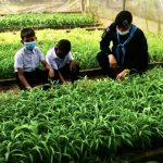 โครงการเศรษฐกิจพอเพียงในโรงเรียน เพื่อน้อง ๆ ในโรงเรียน อำเภอยะหา จังหวัดยะลา