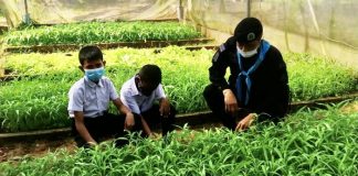 โครงการเศรษฐกิจพอเพียงในโรงเรียน เพื่อน้อง ๆ ในโรงเรียน อำเภอยะหา จังหวัดยะลา