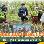 ค่ายพักแรมและบำเพ็ญประโยชน์ ปลูกฝังลูกเสือ – เนตรนารีช่วยเหลือสังคม