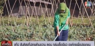 สันติสุขที่ปลายด้ามขวาน ตอน กลุ่มเสื้อเขียว องค์กรเพื่อประชาชน