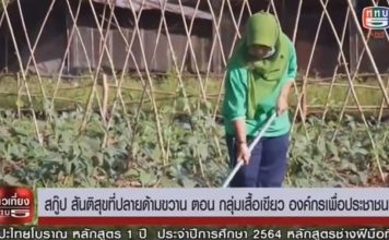 สันติสุขที่ปลายด้ามขวาน ตอน กลุ่มเสื้อเขียว องค์กรเพื่อประชาชน