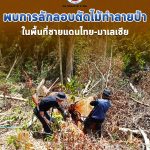 เจ้าหน้าที่พบการลักลอบตัดไม้ทำลายป่าจำนวนมาก ต้นน้ำทะเลสาบเขื่อนบางลางใกล้กับชายไทย-มาเลเซีย