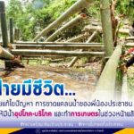 ฝายมีชีวิต…ช่วยแก้ไขปัญหา…