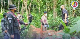 เจ้าหน้าที่ทุกภาคส่วน ออกปราบปรามการกระทำความผิด ว่าด้วยกฎหมายการบุกรุกป่าไม้ในพื้นที่อำเภอกรงปินัง จังหวัดยะลา