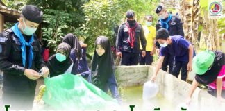 ฉก.ทพ.47 ร่วมกับยุวเกษตรกร ดำเนินกิจกรรมตามแผนงานโครงการอาหารชุมชน โรงเรียนต้นแบบ ตามพระราชดำริฯ