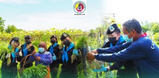 กองทัพบกช่วยเหลือประชาชน เพิ่มรายได้ ลดรายจ่ายในครัวเรือน ด้วยผลผลิตทางการเกษตร สู้ภัยโควิด (COVID-19) รอบที่ 3 ไปพร้อมกัน