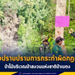 หน่วยป้องกันรักษาป่าที่ ยล.4 ร่วมกับเจ้าหน้าที่ตำรวจ และฝ่ายปกครอง ออกตรวจปราบปรามการกระทำผิดกฎหมาย เกี่ยวกับป่าไม้บริเวณป่าสงวนแห่งชาติป่าเบตง