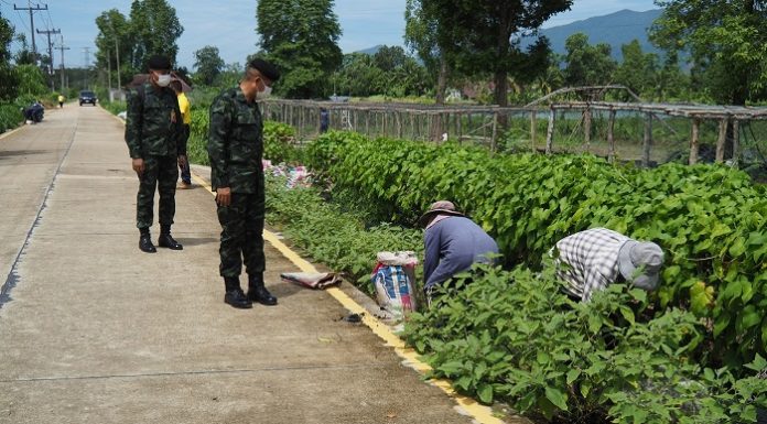 ตรวจเยี่ยมฟาร์มตัวอย่างฯ บ้านโคกโก เพื่อขับเคลื่อน ส่งเสริมการทำปุ๋ยหมักชีวภาพ และปลูกผักปลอดสารพิษ