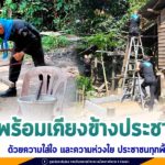 ทุกภารกิจ เราพร้อมเคียงข้างประชาชน ด้วยความใส่ใจ และความห่วงใย ประชาชนทุกพื้นที่