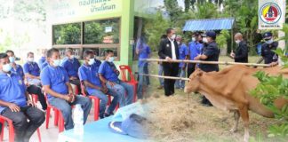 ผู้แทนพิเศษของรัฐบาล ลงพื้นที่ตรวจเยี่ยมติดตามผลการปฏิบัติงาน กลุ่มผู้เลี้ยงโคเนื้อ ในพื้นที่ จชต.