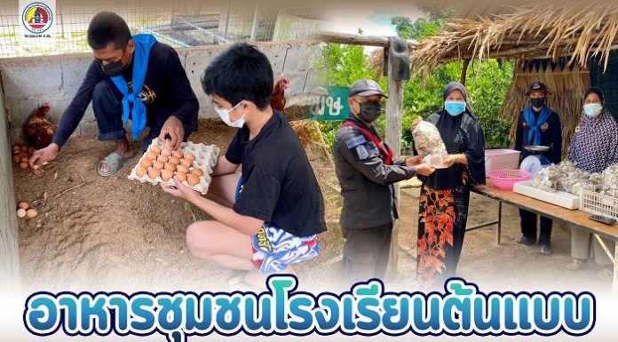 โครงการ “อาหารชุมชนโรงเรียนต้นแบบ” ตามแนวคิดหลักเศรษฐกิจแบบพอเพียง มุ่งเน้นให้ทุกคนสามารถพึ่งพาตนเองได้