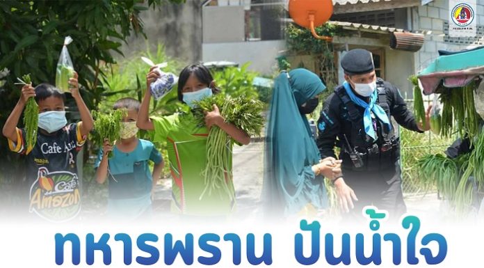 ทหารพราน ปันน้ำใจ แจกผักสวนครัวให้กับพี่น้องประชาชน
