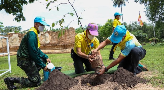 หน่วยเฉพาะกิจสงขลา จัดกิจกรรมปลูกป่าเฉลิมพระเกียรติ เนื่องในวันเฉลิมพระชนมพรรษาพระบาทสมเด็จพระเจ้าอยู่หัวฯ