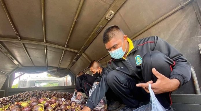 กองทัพภาคที่ 4 เร่งช่วยเหลือเกษตรกรชาวสวนมังคุด ด้วยการอุดหนุนผลผลิต และจัดกำลังพลพร้อมยานพาหนะ ในการระบายผลผลิตมังคุดล้นตลาด ให้กับเกษตรกรชาวสวนในพื้นที่จังหวัดนครศรีธรรมราช