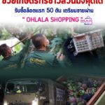 กองทัพบกจับมือกรมการค้าภายใน กระทรวงพาณิชย์ “ช่วยเหลือเกษตรกรชาวสวนมังคุดภาคใต้” รับซื้อผลผลิตล็อตแรก 50 ตัน เตรียมจำหน่ายผ่านแพลตฟอร์ม “ohlala” ทาง ททบ. 5 บรรเทาความเดือดร้อนเกษตรกรช่วงวิกฤติโควิด-19