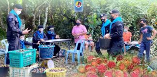 หน่วยเฉพาะกิจยะลา ช่วยเหลือพี่น้องเกษตรกรที่ได้รับผลกระทบจากราคาผลผลิตตกต่ำ