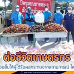 ต่อชีวิตเกษตรกร สร้างรอยยิ้มให้ผู้ได้รับผลกระทบจากสถานการณ์โควิด-19