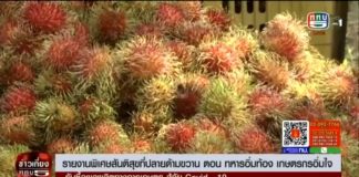 ติดตามชม สันติสุขที่ปลายด้ามขวาน ตอน เกษตรกรอิ่มใจ รับซื้อผลผลิตทางการเกษตร สู้ภัย Covid-19