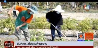 ติดตามชมรายงาน สันติสุขที่ปลายด้ามขวาน ตอน ชุมชุมเข้มแข็ง ท่ามกลางวิกฤตโควิด-19