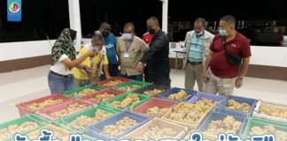 “ทหารไม่ทอดทิ้งประชาชน” รับซื้อ “ลองกองสานใจสู่สันติ” กระจายผลผลิตสู่ตลาด ช่วยเกษตรกรใต้มีรายได้ สู้วิกฤติโควิด-19