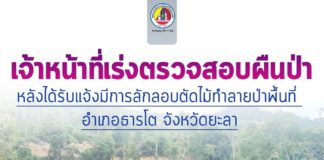 เจ้าหน้าที่เร่งตรวจสอบผืนป่า หลังได้รับแจ้งมีการลักลอบตัดไม้ทำลายป่าพื้นที่ อำเภอธารโต จังหวัดยะลา