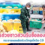 ทหารช่วยชาวสวนรับซื้อลองกอง กระจายผลผลิตช่วงวิกฤตโควิด-19