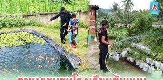 อาหารชุมชนโรงเรียนต้นแบบ พัฒนาคุณภาพชีวิตนักเรียนโรงเรียนบ้านตันหยง