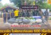 กองกำลังเทพสตรี คุมเข้มแนวชายแดนไทย – มาเลเซีย ตรวจยึด ใบพืชกระท่อมสด 600 กิโลกรัม