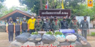 กองกำลังเทพสตรี คุมเข้มแนวชายแดนไทย – มาเลเซีย ตรวจยึด ใบพืชกระท่อมสด 600 กิโลกรัม